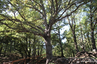 Bivacco Grandi Querce